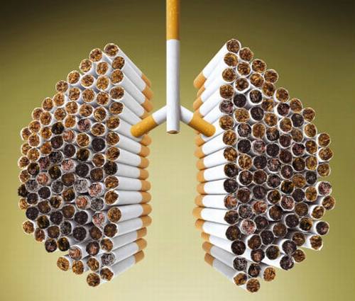 [tips] Membersihkan Paru-paru Dari Nikotin [ www.Up2Det.com ]